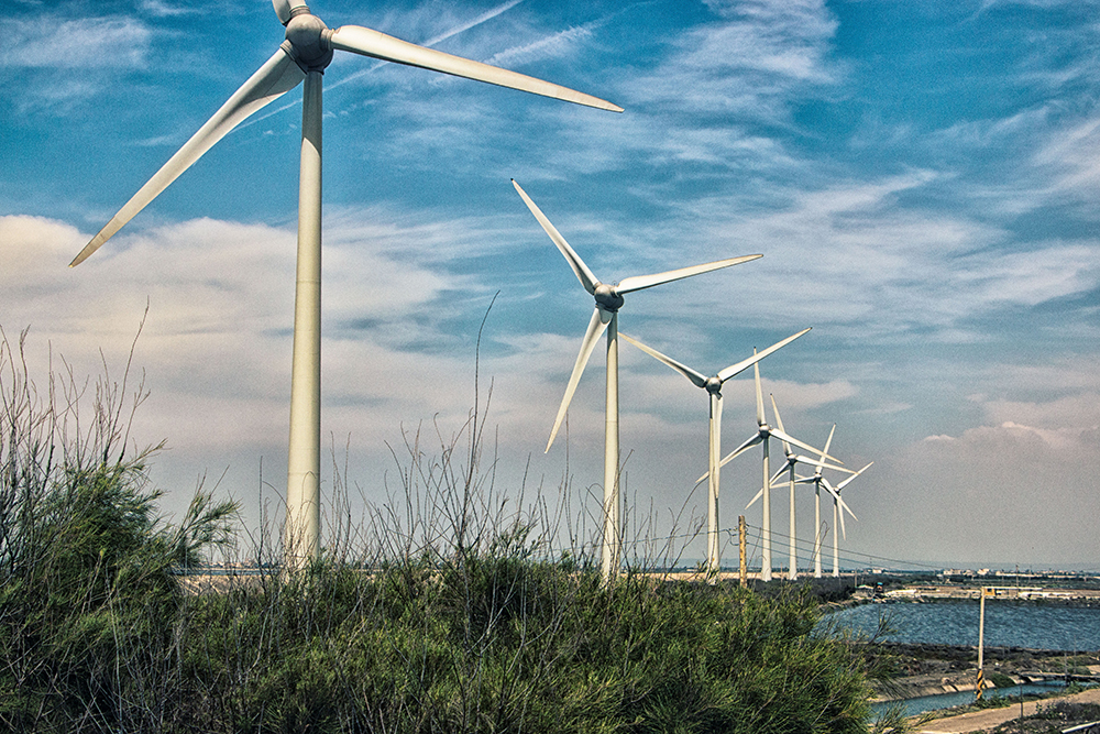 Wind turbines generating renewable energy